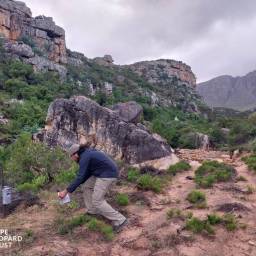 Servicing camera traps